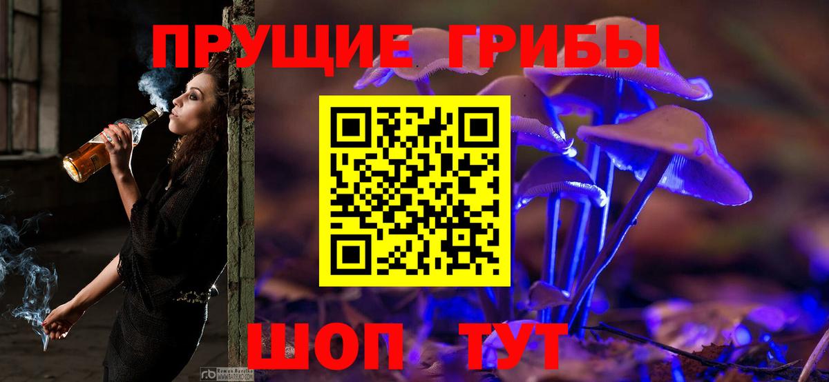 продажа наркотиков  Серов  Псилоцибиновые грибы прущие грибы 