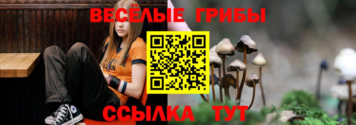 где продают   Вход с VPN  Серов  Псилоцибиновые грибы Magic Shrooms  Галлюциногенные грибы Psilocybe 