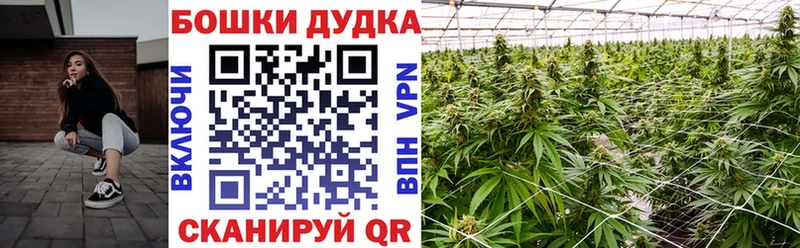 Конопля OG Kush  Серов 